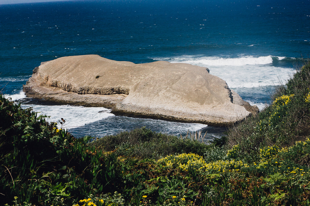 Greyhound Rock Beach at Davenport