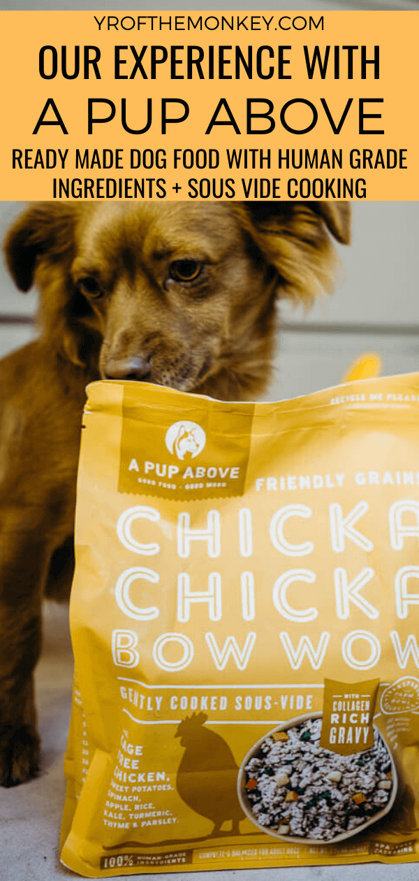 Reviewing A Pup Above: A premade wet dog food with human grade ingredients and sous vide cooking. #Apupabove #sousvide #humangradeingredients #dogfood #premadedogfood #wetdogfood
