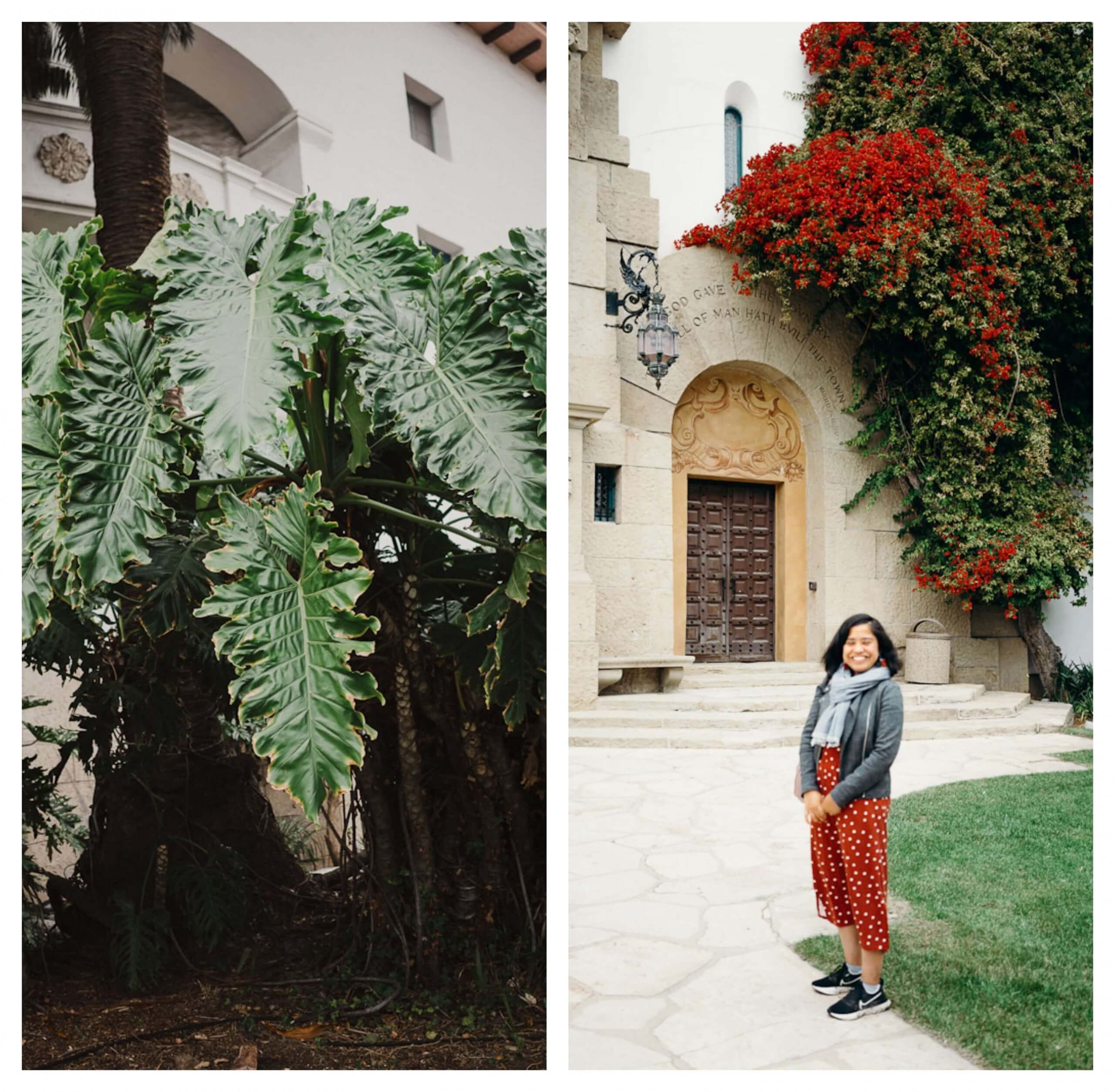 Santa Barbara County courthouse gardens