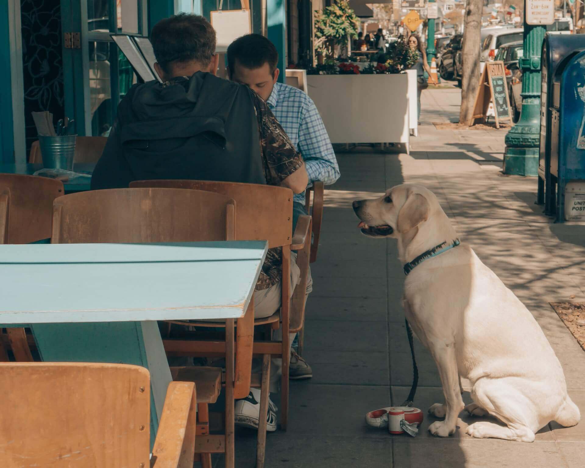 Dog friendly restaurants in San Diego