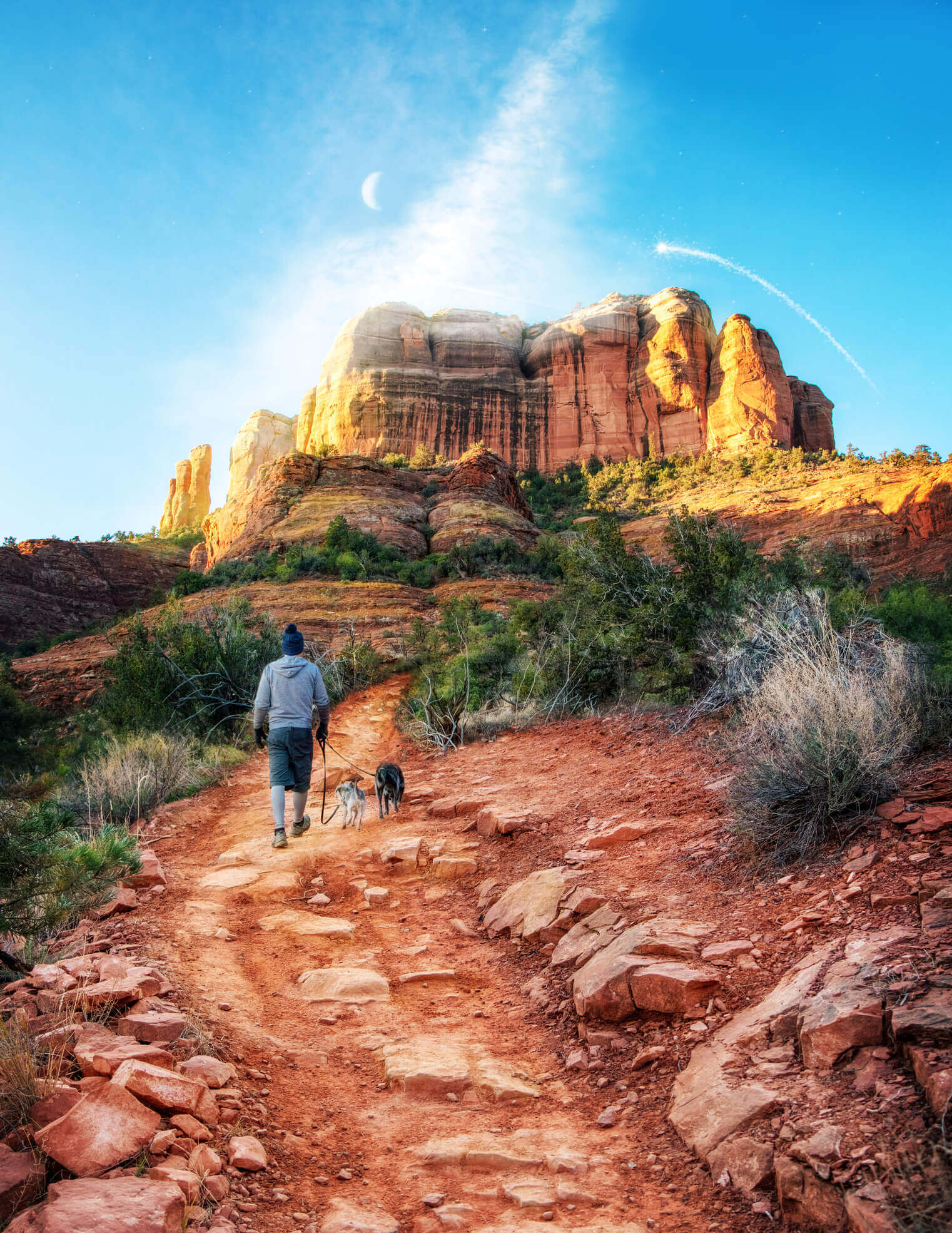 Cathedral rock trail, hiking with dogs in Sedona, dog friendly Sedona guide