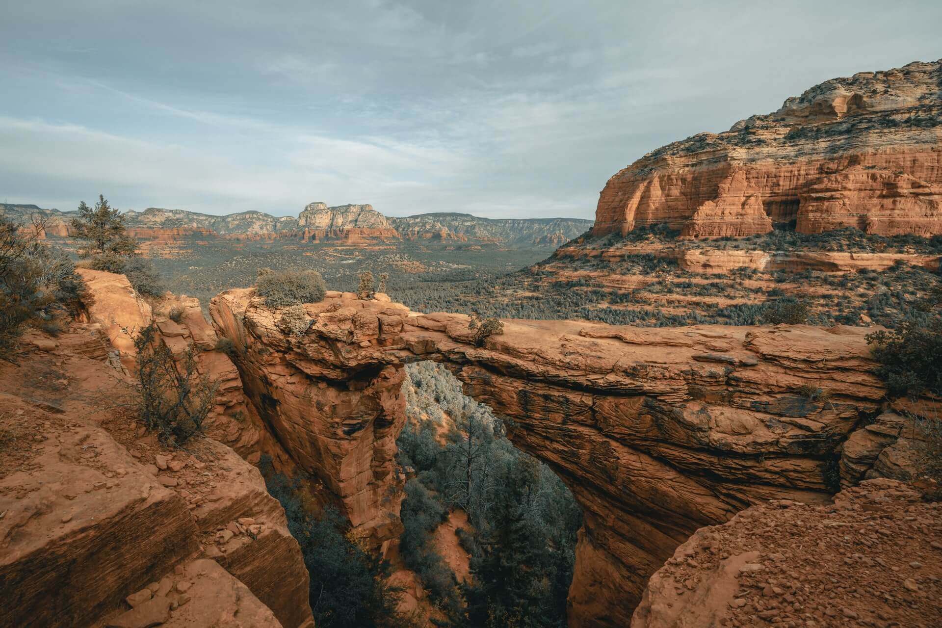 Devil's Bridge in Sedona is also a dog friendly hike