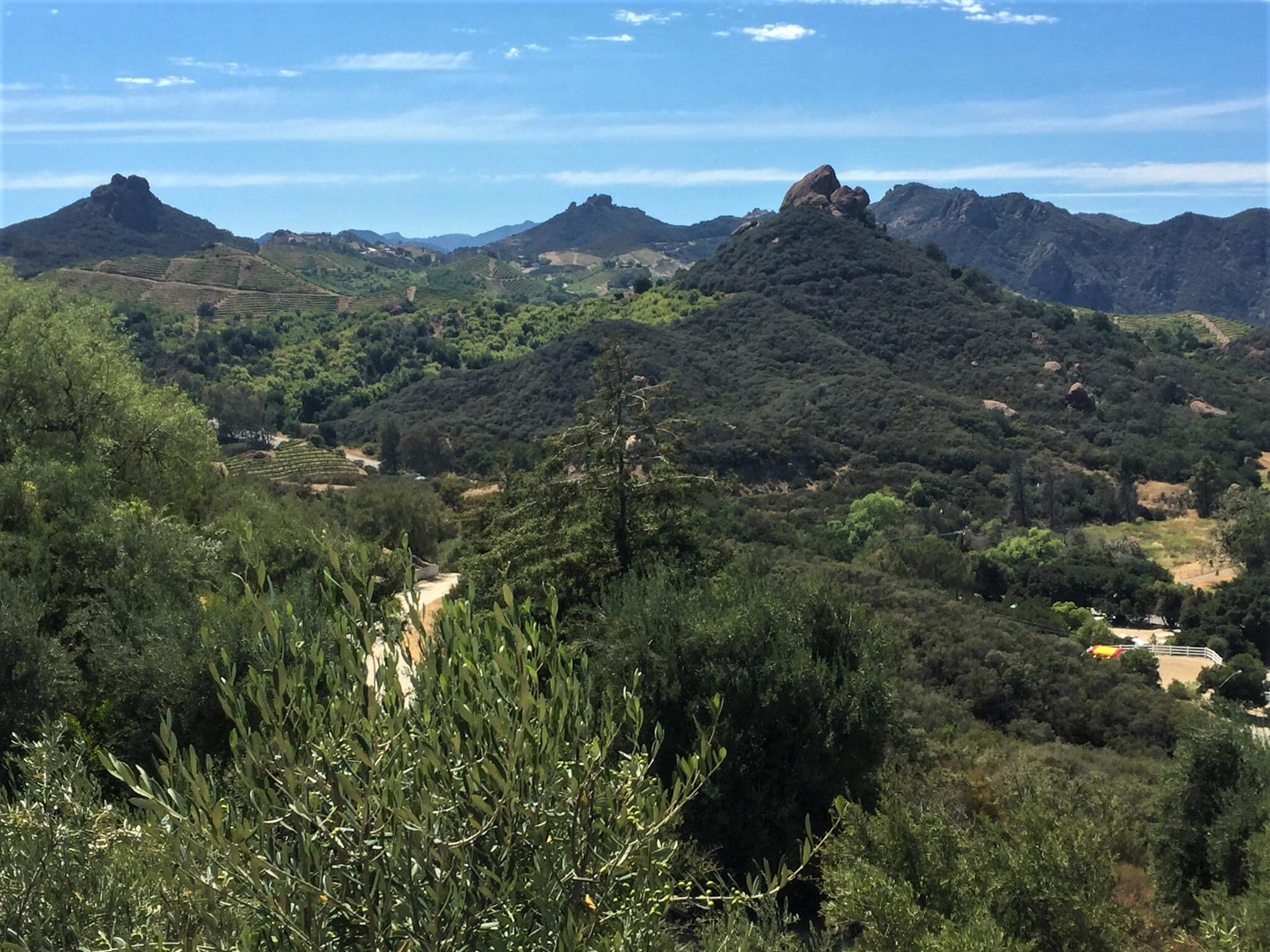 Southern California wine region, Malibu wine country