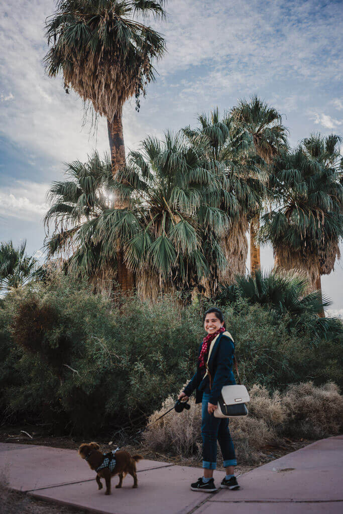 Hiking with dogs at Joshua tree Oasis of Mara visitor center