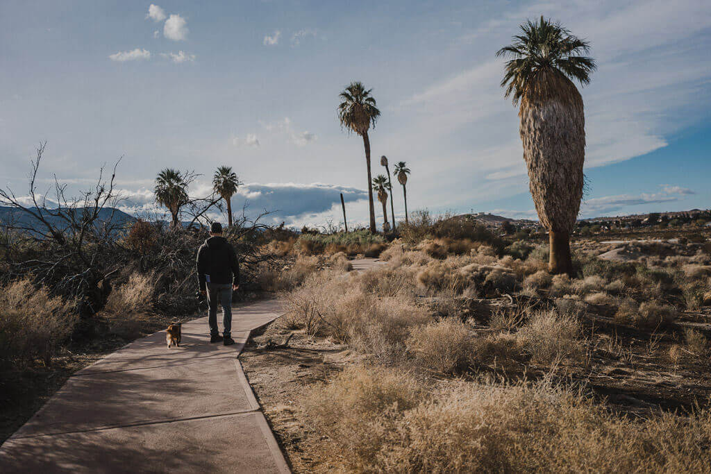 Tips to maximize your day trip to Joshua tree experience, how to spend 1 day in Joshua Tree National park