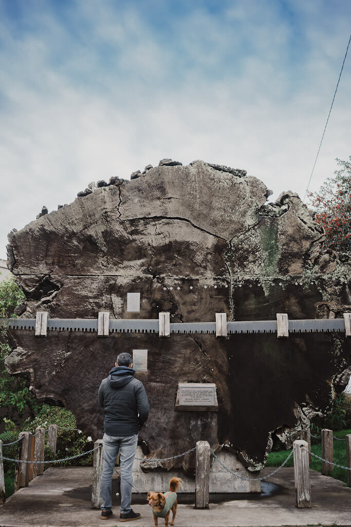 HIstoric Redwood Fort Bragg