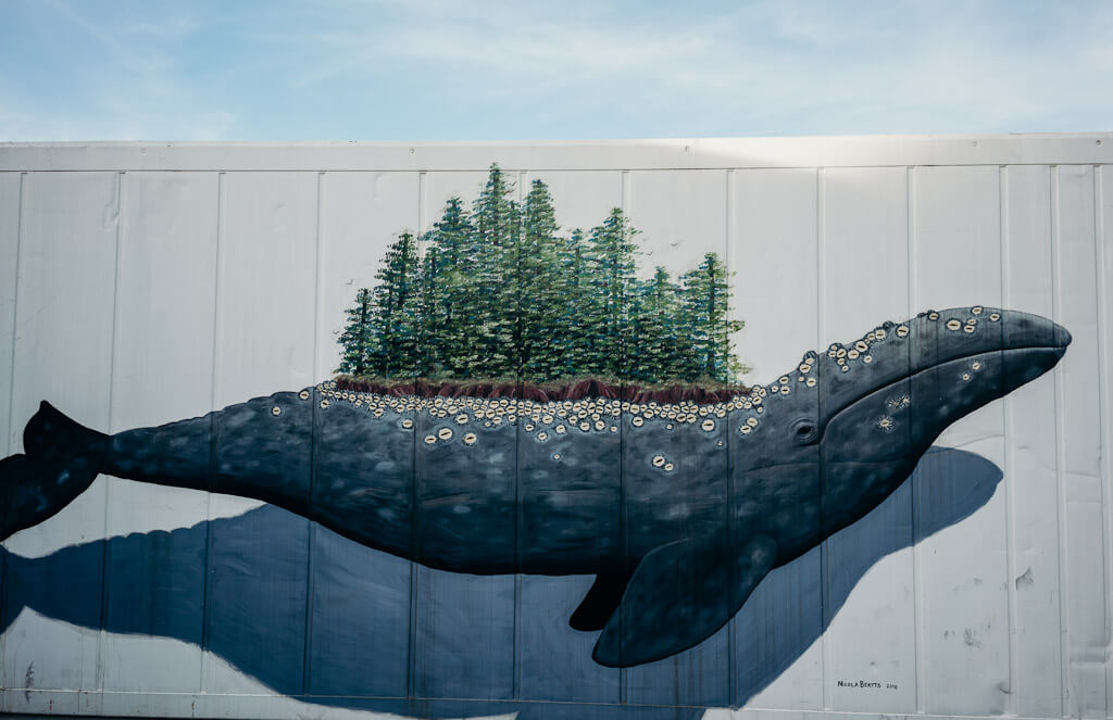 Best Fort Bragg Murals and street art-Whale and the Redwoods