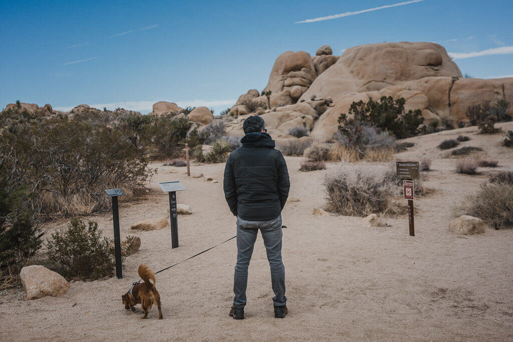 Discovery Trail entrance at Joshua Tree: this is one of the best day hikes at Joshua Tree