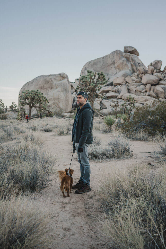 Dog in Joshua tree National park