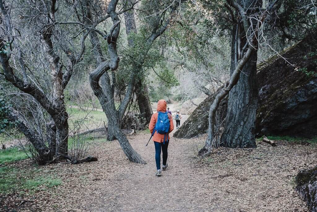 Old Pinnacles trail, best hikes in Pinnacles National park