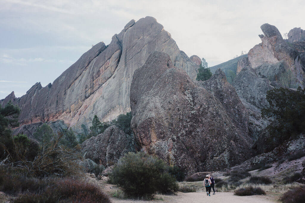 hiking in Pinnacles National park, best hikes in Pinnacles national park, things to do in Pinnacles National park