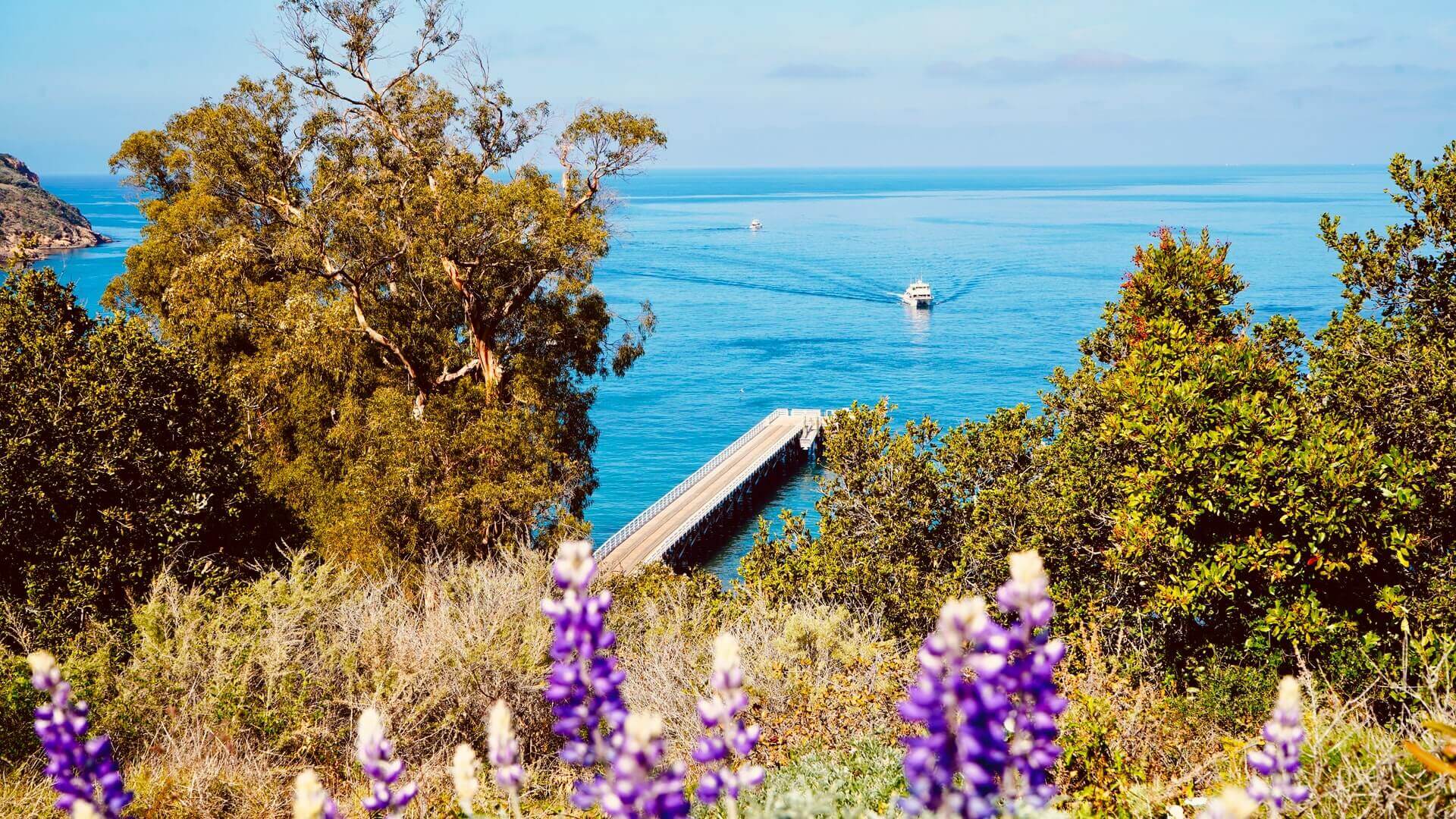 Whale watching from Channel islands National park