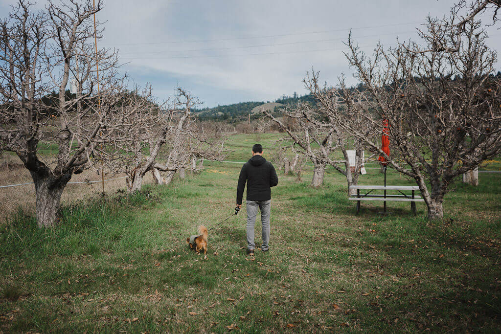 Cider tasting at Gowan's Heirloom Cider farm