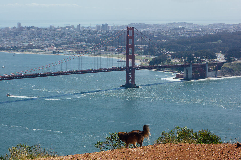 Golden Gate Bridge views from Marin Headlands at Hawk Hill on Conzelman road