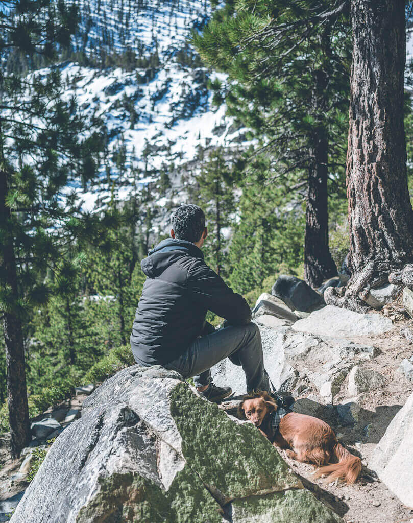 Dog friendly hikes in Lake tahoe: Cascade Falls Trail