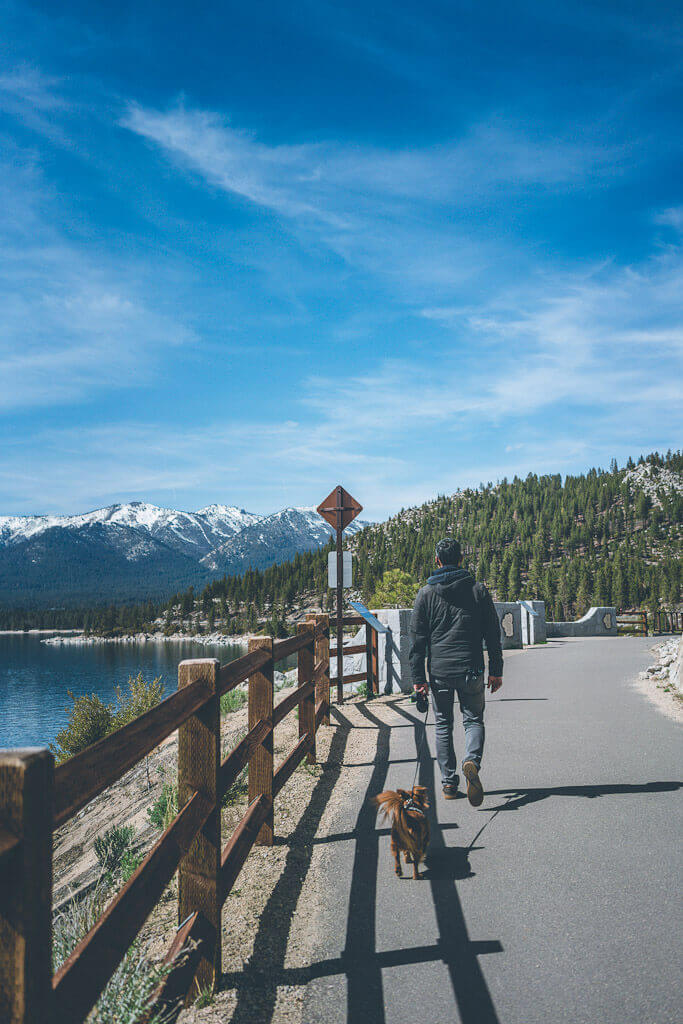 Tahoe East Shore Trail to Hidden beach (dog friendly beach)