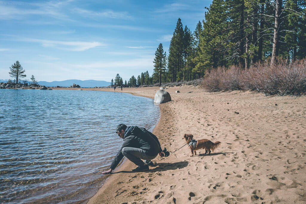 Zephyr Cove Beach is a dog friendly Lake Tahoe beach