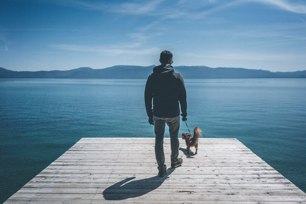 A fantastic dog friendly Lake Tahoe Guide that you'll love!