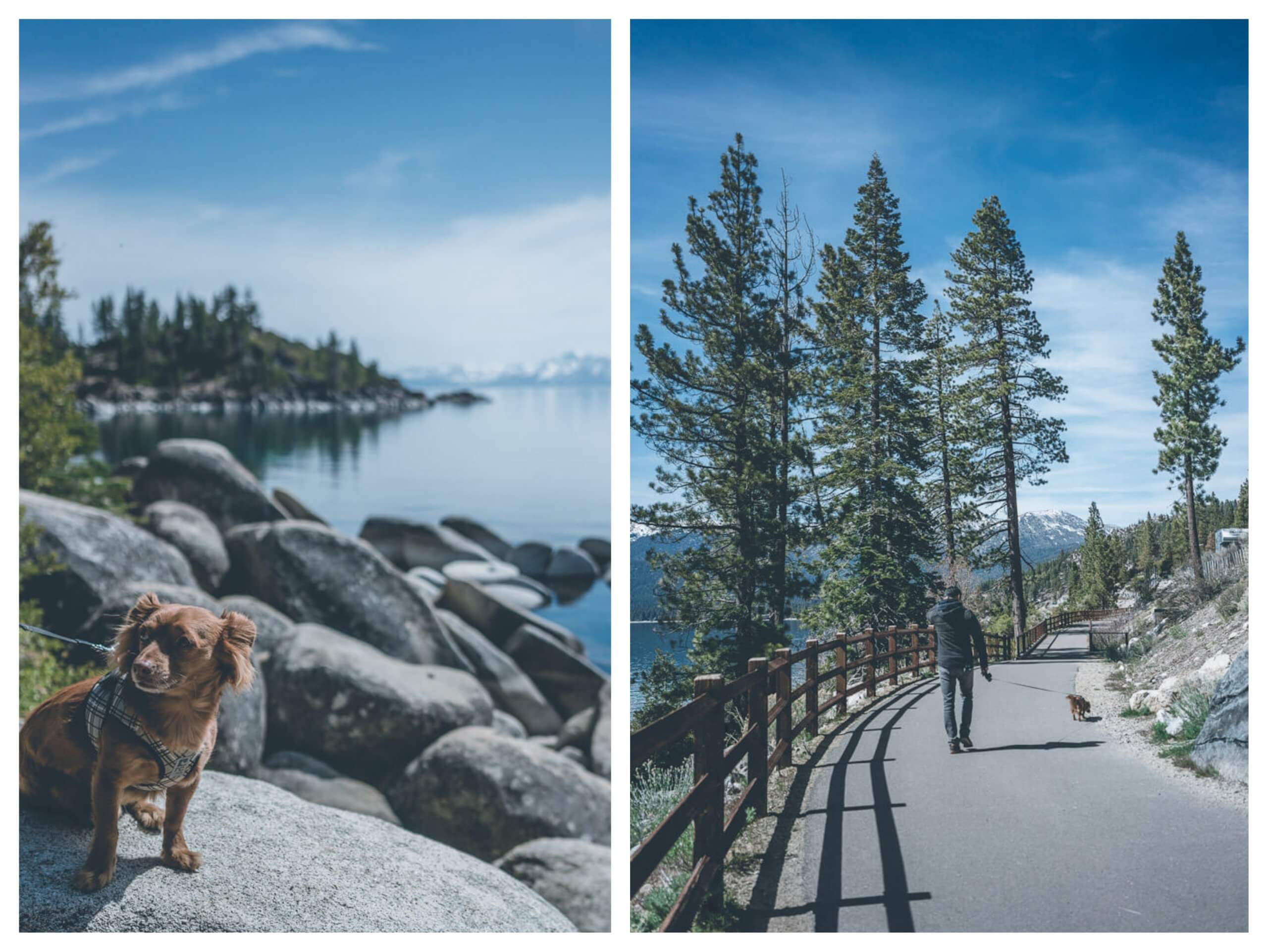 Tahoe east shore trail is a dog friendly hiking trail in Lake Tahoe