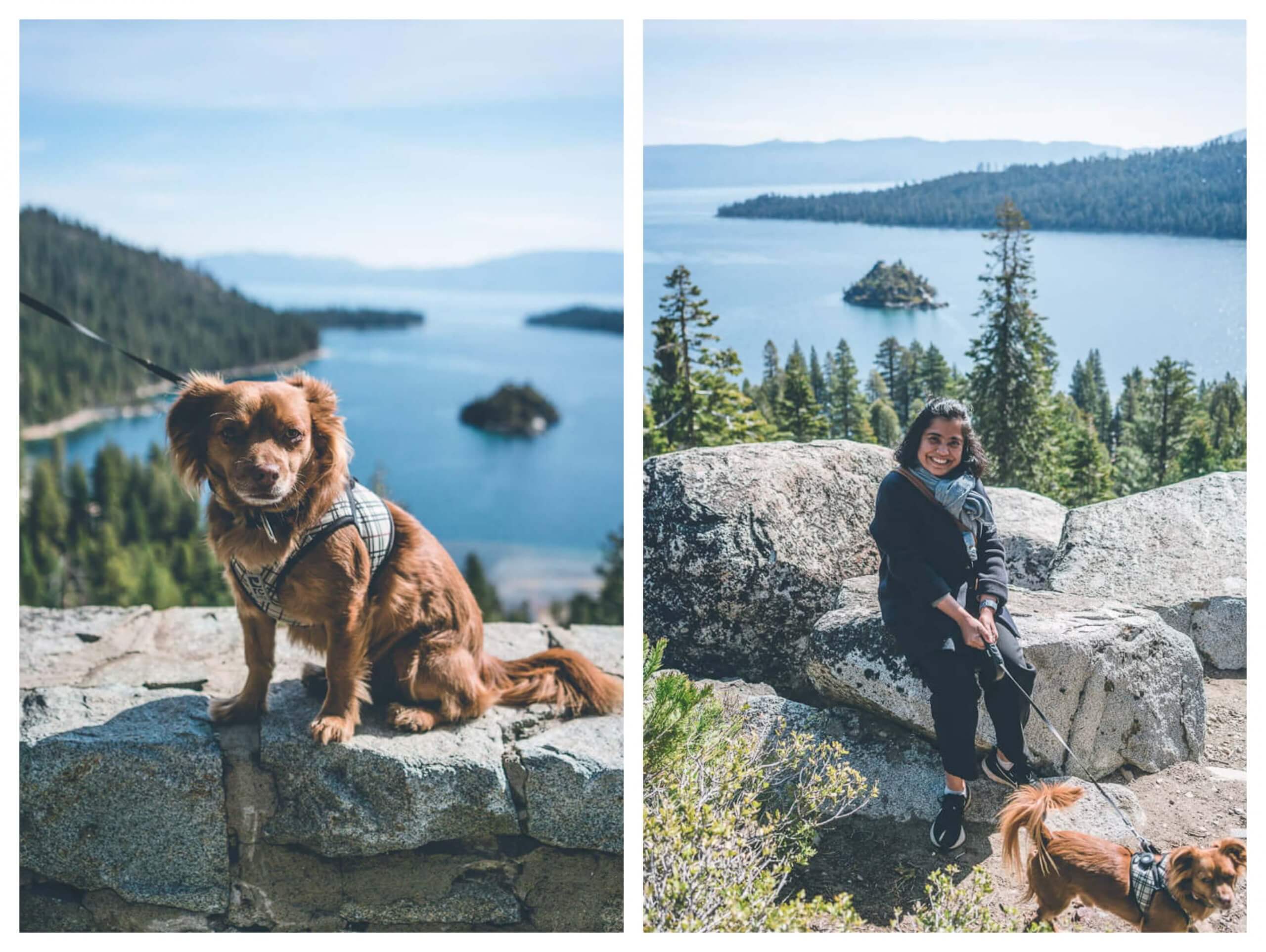 dog friendly Emerald Bay Overlook at Lake Tahoe, dog friendly places in Lake tahoe