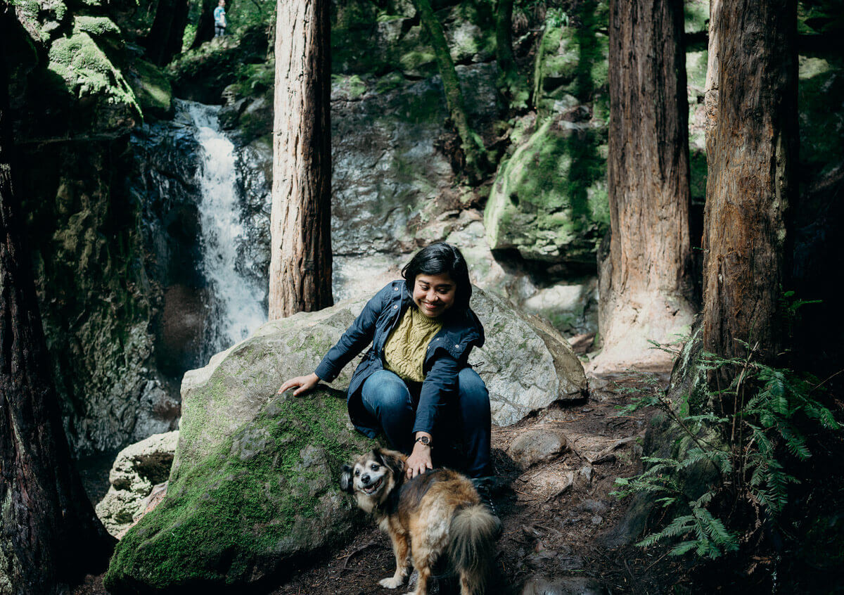 Cascade Falls Park in Mill Valley is a dog friendly redwood park near San Francisco