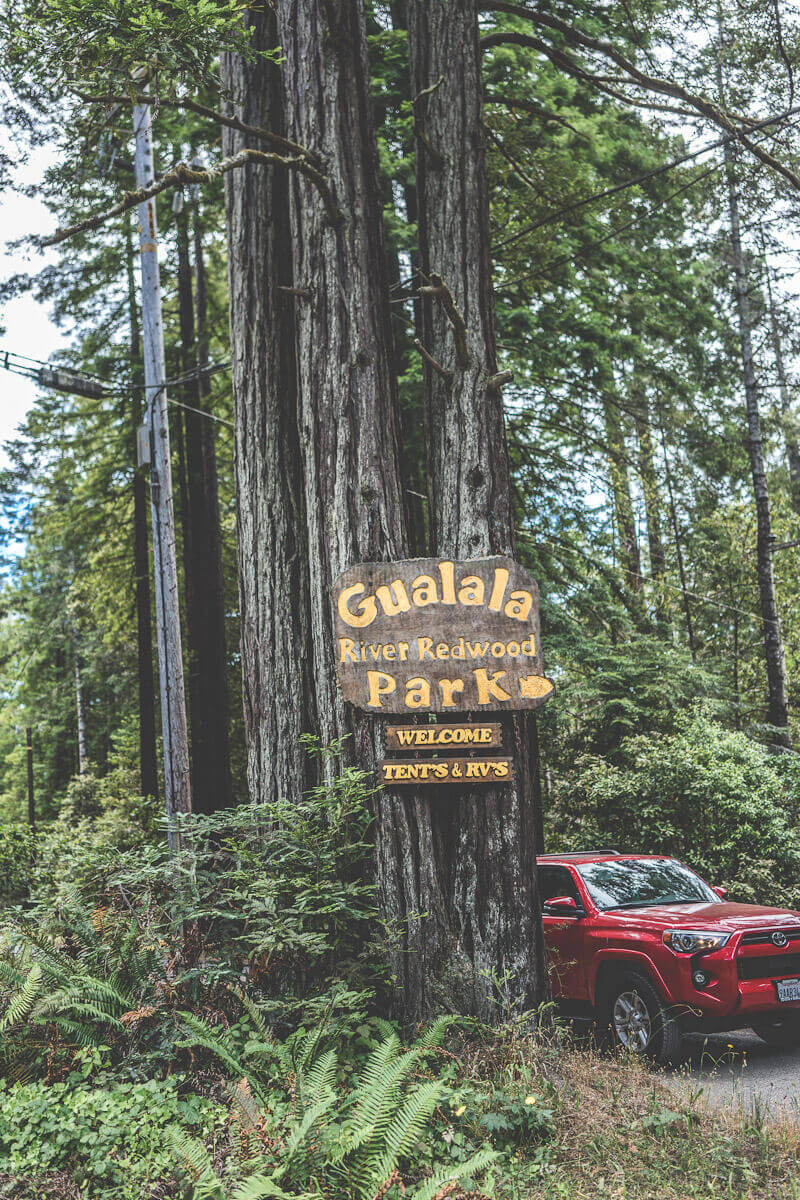 Camping in Gualala at Gualala River redwood park