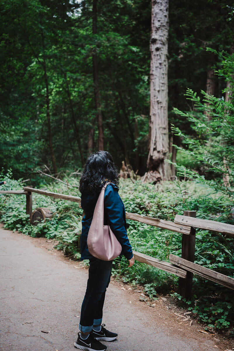 Best things to do in Mill Valley CA over the weekend: go to Muir woods