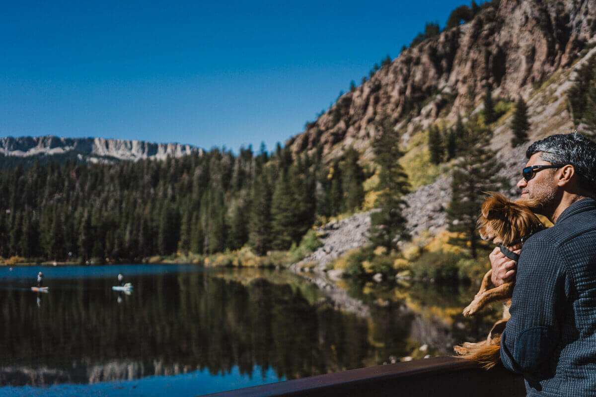 Dog friendly Mammoth Lakes guide: visit twin lakes