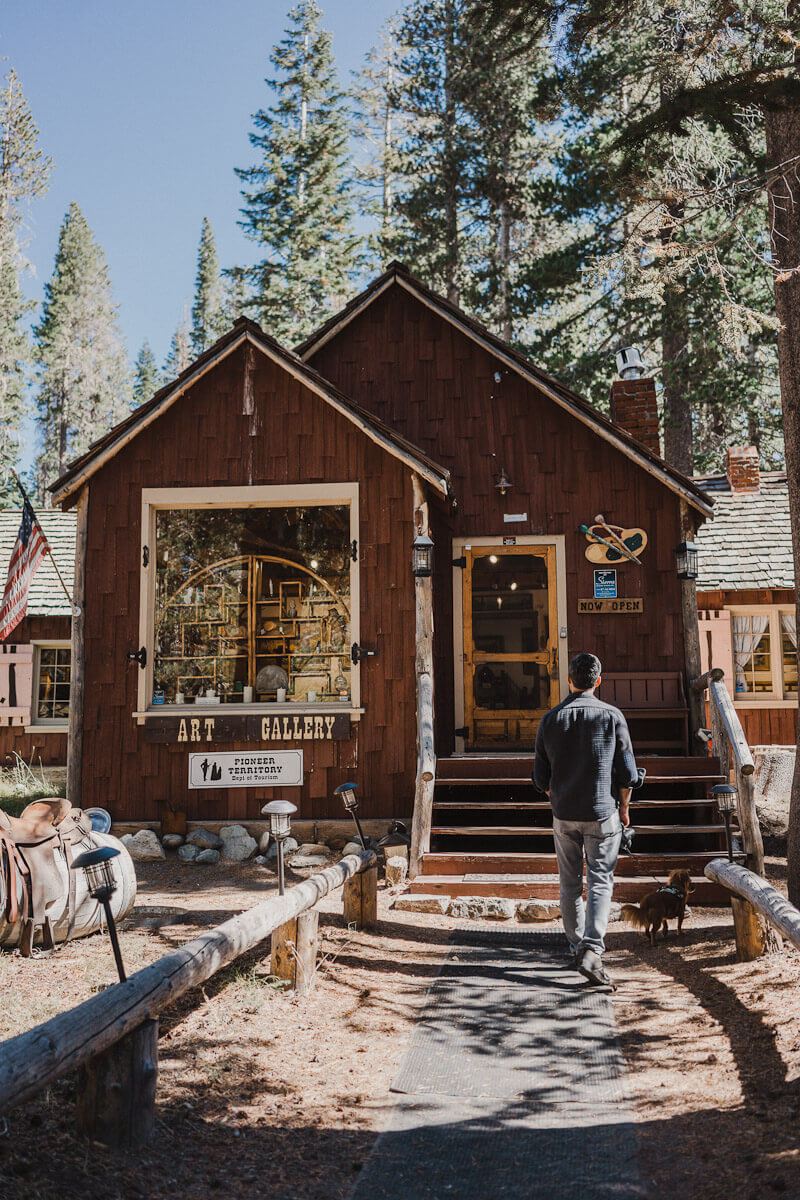 Twin Lakes Art Gallery with dog